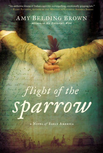 Flight of the Sparrow book cover by Amy Belding Brown